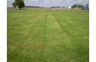 Property photo 10 - 75+/- Acres in 9 Tracts